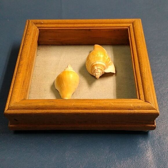 Seashell Shadow Framed Box Handmade Blue Jean fabric Backing Beach Seashore - Picture 3 of 6